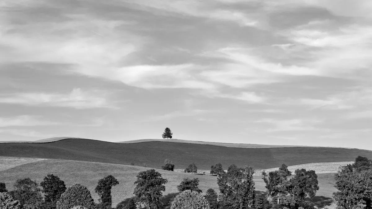 Eine minimalistische Landschaft mit freiem Blick in die Ferne, in der ein einzelner Baum in der Stille steht.