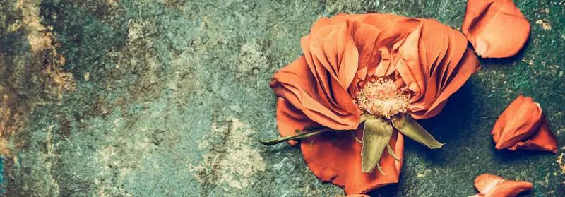 flowers-greenbg